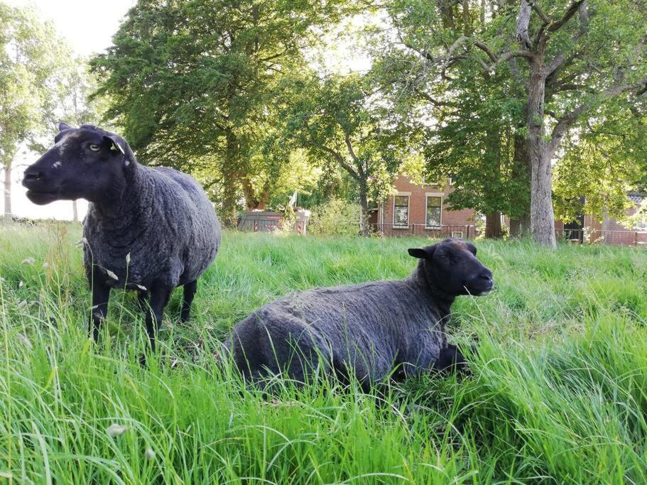 'T Pekelhuis - Vakantiehuisje Op Boerderij Huize Blokland Hem Luaran gambar