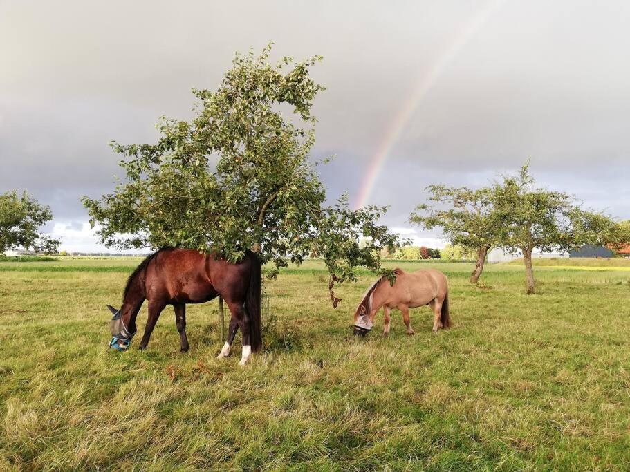'T Pekelhuis - Vakantiehuisje Op Boerderij Huize Blokland Hem Luaran gambar